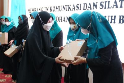 Ketua TP PKK Sulsel