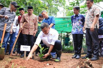 Bupati Bulukumba Andi Utta saat menanam bibit jambu mente di Desa Tamalanrea