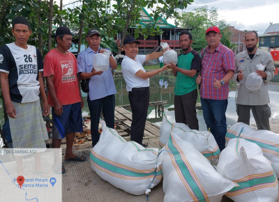 Pelepasan bibit udang Sitto di sekitar wilayah Maros