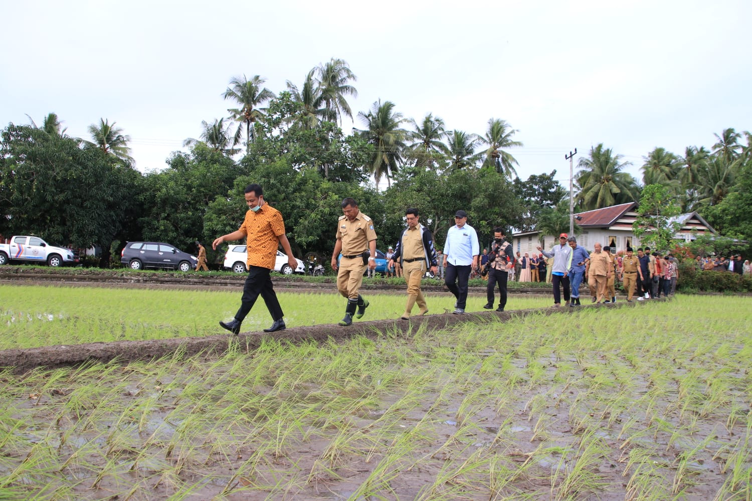 Gubernur Sulawesi Selatan, Andi Sudirman Sulaiman melakukan peninjauan pada lahan persawahan yang menggunakan ‘Mandiri Benih’ di Dusun Polewali, Desa Salemba, Kecamatan Ujung Loe, Kabupaten Bulukumba, Senin 13 Juni 2022.