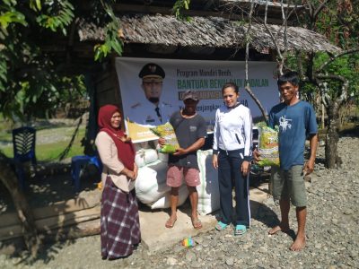 1000 hektar lahan di Luwu Dapat Bantuan Benih Andalan ‘Mandiri Benih’