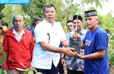 Thaiyeb Maningkasi