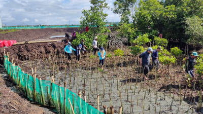 Pemerintah Provinsi Sulawesi Selatan gencar dalam menjaga dan merawat ekosistem alam, termasuk ekosistem hutan bakau.