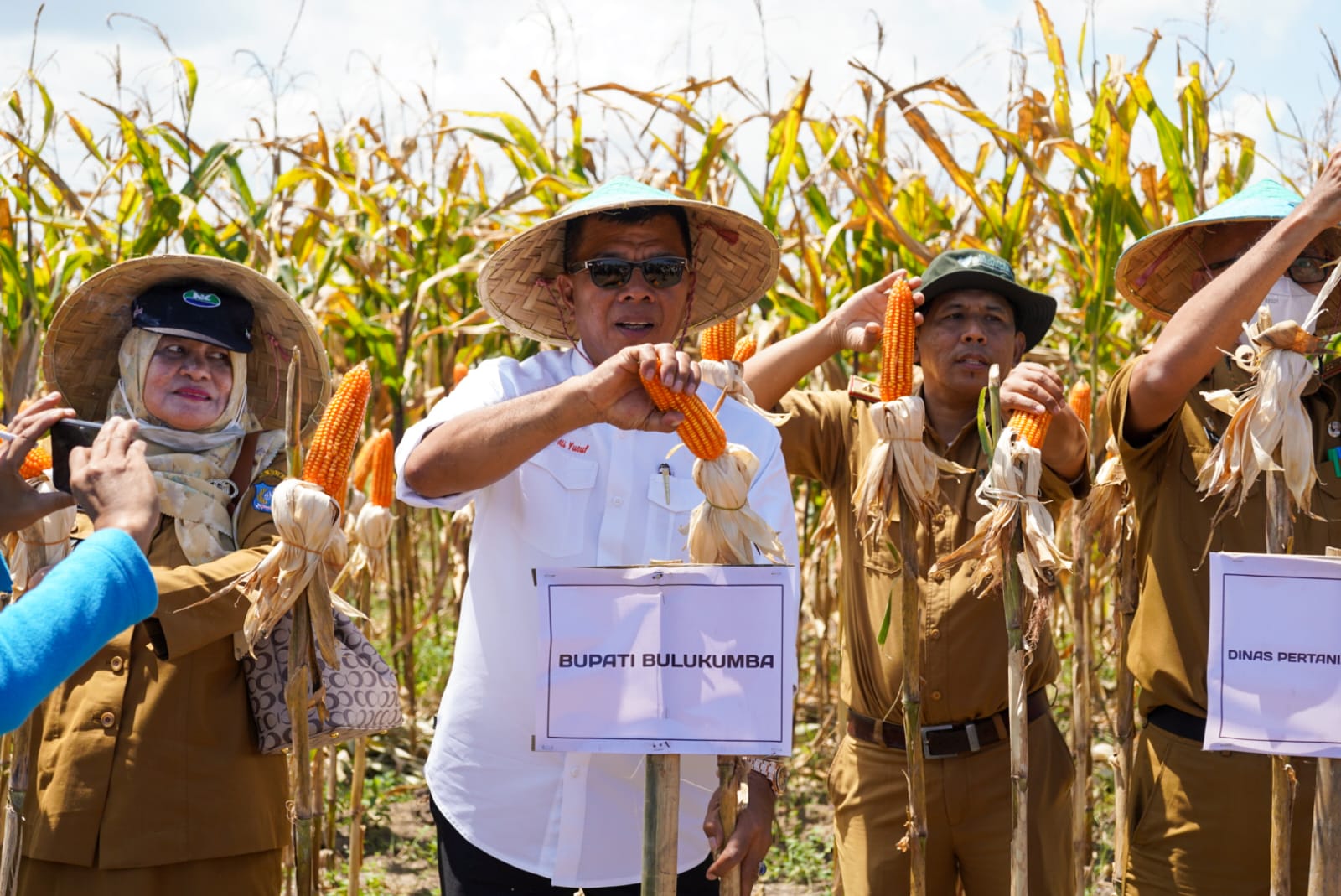 Bupati Bulukumba Andi Muchtar Ali Yusuf menghadiri panen raya Jagung varitas NK 007 Andalan di Desa Bontomasila, Kecamatan Gantarang,