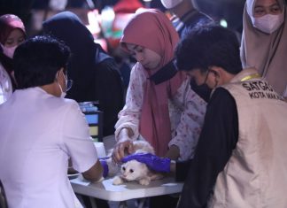 Kantor Konsuler Jepang di Makassar berpartisipasi dalam pemutaran film di Festival F8 Makassar 2022 melalui dukungan dari The Japan Foundation, Jakarta