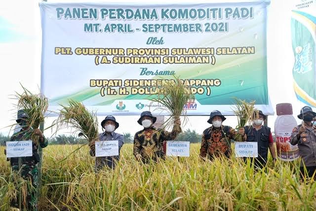 Panen raya