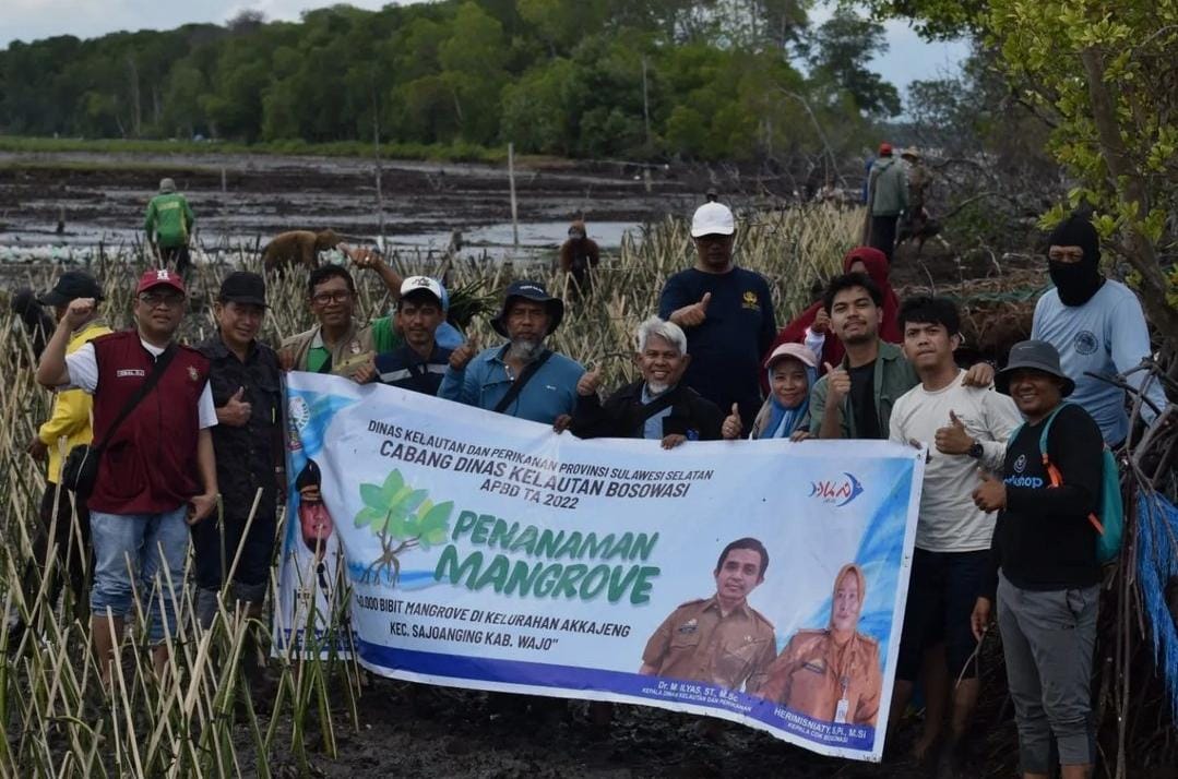 DKP Sulsel Bersama Masyarakat Pelestari Lingkungan Tanam 40 Ribu Batang Mangrove di Pesisir Wajo