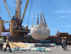 6.150 Ton Jagung Sulsel Diekspor ke Filipina Senilai Rp 30,43 Miliar