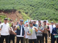 netral.co.id