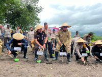 Dukung Asta Cita Swasembada Pangan, Pj Wali Kota Parepare dan Forkopimda Ikut Sukseskan Penanaman Jagung Satu Juta Hektar