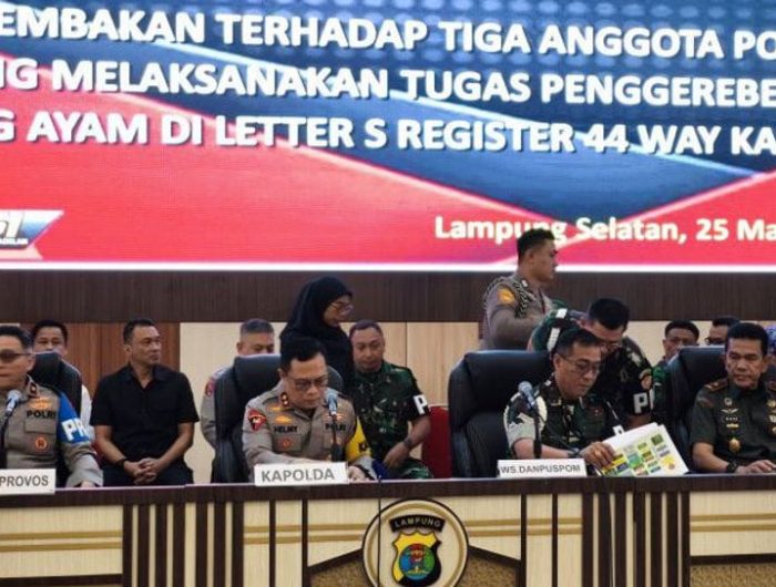 IMG 20250325 WA00461