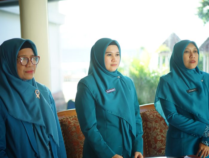 Sejumlah organisasi yang datang dengan tujuan audiensi di antaranya DPC Legiun Veteran Republik Indonesia (LVRI) Kota Parepare, Himpunan Mahasiswa Islam (HMI) Cabang Parepare, Badan Komunikasi Pemuda Remaja Masjid Indonesia (BKPRMI), serta Himpunan Pelajar Mahasiswa Indonesia (HIPMI) Parepare.