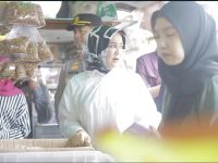Wakil Gubernur Sulsel, Fatmawati Rusdi saat melakukan peninjauan pasar terong, di Makassar.