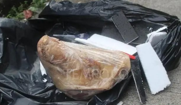 Jurnalis Tempo dapati kiriman kepala babi (peneroran).