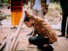 Bupati Dompu, Bambang Firdaus, bersama Pelaksana Tugas (Plt) Kepala Dinas Perumahan Rakyat dan Kawasan Permukiman serta sejumlah pejabat Pemkab Dompu meninjau langsung lokasi bencana longsor di Kelurahan Dorotangga dan Kandai Satu, Selasa 4 Maret 2025.