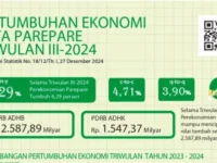 Perekonomian Kota Parepare tumbuh positif. Dari data Badan Pusat Statistik (BPS), ekonomi Parepare tercatat tumbuh hingga 6,29 persen di triwulan ketiga.