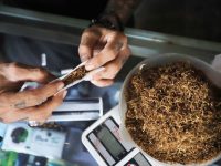 Perokok Indonesia tengah ramai-ramai beralih ke rokok murah alias downtrading. Bagaimana tidak, rokok bermerek harganya melejit tinggi hingga sulit dijangkau.