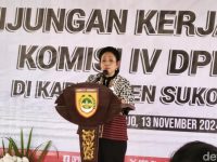 Dalam kunjungan kerja (kunker) ke Yogyakarta, Titiek Soeharto mendapati masih banyak stok beras impor lama yang kini dalam kondisi tidak layak konsumsi karena dipenuhi kutu.