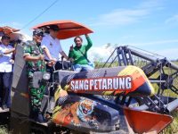 Bupati Pangkep, Muhammad Yusran Lalogau melakukan panen raya padi di area persawahan Kelurahan Mangallekana, Kecamatan Labakkang