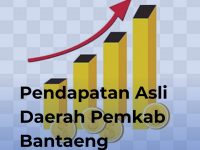 Ilustrasi Peningkatan Pendapatan Asli Daerah Kabupaten Bantaeng 2025.