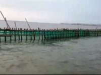 IMG 20250408 011805