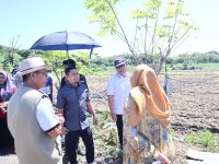 Wali Kota Parepare, Tasming Hamid, melakukan serangkaian kunjungan lapangan sebagai bentuk perhatian langsung terhadap pembangunan dan ketahanan pangan di Kota Parepare, Senin, 12 Mei 2025.