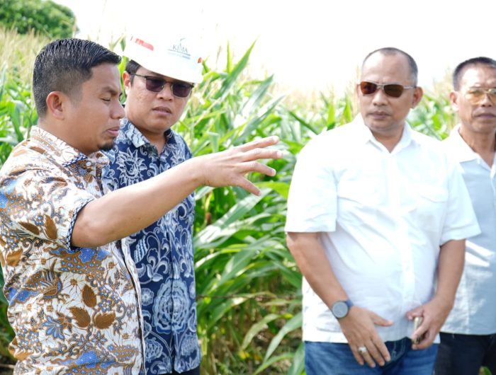 Wali Kota Parepare, Tasming Hamid, bersama Wakil Wali Kota Hermanto, menerima kunjungan kerja rombongan PT Kawasan Industri Makassar (KIMA) dan PT Kliring Berjangka Indonesia (KBI) di Auditorium BJ Habibie, Rumah Jabatan Wali Kota Parepare, Jumat (23/5/2025).