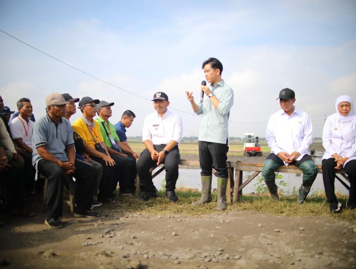 Menteri Pertanian (Mentan) Andi Amran Sulaiman kembali menjadi sorotan positif para pemimpin negara. Presiden Republik Indonesia, Prabowo Subianto, dan Wakil Presiden Gibran Rakabuming Raka, memberikan apresiasi langsung atas kinerja luar biasa Mentan Amran yang dinilai konsisten turun ke sawah dan bekerja nyata di lapangan memperkuat sektor pertanian nasional.