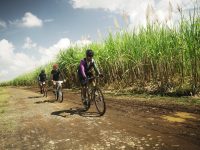 Sulawesi Unsupported Ride atau yang lebih akrab disapa Susur, menjadi ajang kolektif bagi para pegiat sepeda lintas medan (all terrain) di Makassar dan sekitarnya. Kegiatan ini bukan sekadar olahraga, tapi juga perjalanan menyelami keindahan lanskap Sulawesi Selatan serta dinamika kehidupan masyarakat lokal.