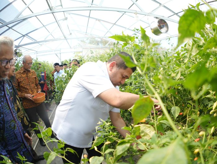 Wali Kota Makassar, Munafri, menyatakan komitmennya untuk mendorong ketahanan pangan dan kemandirian ekonomi masyarakat lewat urban farming.