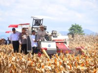 Didampingi Menteri Pertanian (Mentan) Andi Amran Sulaiman, Presiden Republik Indonesia, Prabowo Subianto, memimpin langsung kegiatan Panen Raya Jagung Serentak yang merupakan bagian dari program peningkatan produktivitas pertanian nasional di kuartal II tahun 2025.
