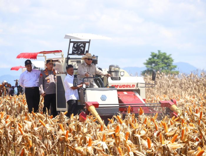 Didampingi Menteri Pertanian (Mentan) Andi Amran Sulaiman, Presiden Republik Indonesia, Prabowo Subianto, memimpin langsung kegiatan Panen Raya Jagung Serentak yang merupakan bagian dari program peningkatan produktivitas pertanian nasional di kuartal II tahun 2025.