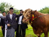 Sekretaris Daerah Provinsi Sulawesi Selatan, Jufri Rahman, bersama keluarga melaksanakan Salat Idul Adha 1446 Hijriah/2025 Masehi di pelataran Masjid Kubah 99 Asmaul Husna, kawasan Centre Point of Indonesia (CPI) Makassar, Jumat (6/6/2025) atau bertepatan dengan 10 Dzulhijjah 1446 H.