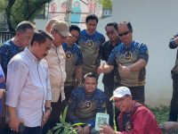 Pemerintah Provinsi Sulawesi Selatan melalui Dinas Perpustakaan dan Kearsipan menggelar aksi penanaman pohon secara serentak, Rabu, 11 Juni 2025, melibatkan seluruh ASN dan Non-ASN di lingkungan dinas.