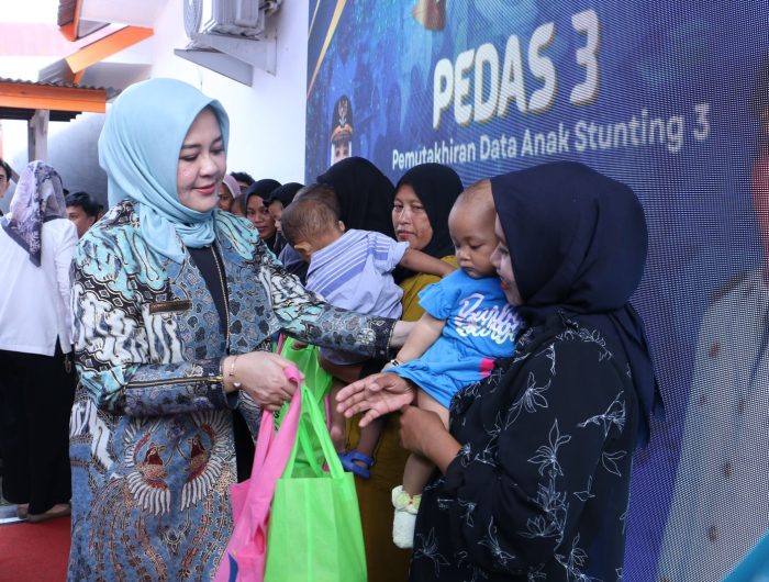 Wakil Gubernur Sulawesi Selatan, Fatmawati Rusdi, saat meresmikan dua program inovatif percepatan penanganan stunting di Kabupaten Bulukumba. (Foto Dok.Humas)