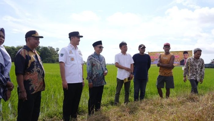 Wakil Ketua DPD RI Apresiasi Kepemimpinan Bupati MYL di Sektor Pertanian