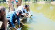 Bupati Bantaeng, M. Fathul Fauzy Nurdin, didampingi mantan Gubernur Sulsel, Prof. Nurdin Abdullah, melepas 25.000 benih Ikan Bandeng di Empang Pantai Marina, Selasa, 1 Juli 2025.