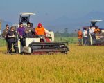 Kelompok Tani Tampo Darae Kabupaten Bone membantah isu terkait bantuan alat dan mesin pertanian (alsintan) jenis combine (mesin alat panen padi) dan jonder di Kabupaten Bone yang diduga dijual oleh oknum ke para petani.