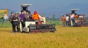 Kelompok Tani Tampo Darae Kabupaten Bone membantah isu terkait bantuan alat dan mesin pertanian (alsintan) jenis combine (mesin alat panen padi) dan jonder di Kabupaten Bone yang diduga dijual oleh oknum ke para petani.