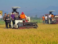 Kelompok Tani Tampo Darae Kabupaten Bone membantah isu terkait bantuan alat dan mesin pertanian (alsintan) jenis combine (mesin alat panen padi) dan jonder di Kabupaten Bone yang diduga dijual oleh oknum ke para petani.