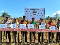 Dalam semangat memperkuat ketahanan pangan nasional dan mendukung target penanaman kuartal III tahun ini, Dinas Pertanian Provinsi Sulawesi Selatan bersama Dinas Pertanian Kabupaten Maros, Balai Pengujian dan Perakitan Tanaman Serealia, serta PT Bayer Indonesia melaksanakan kegiatan Panen Raya Jagung yang berlangsung di lahan petani binaan di Kabupaten Maros.