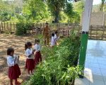Fenomena sekolah dasar (SD) dan sekolah menengah pertama (SMP) tanpa murid baru kembali terjadi di tahun ajaran 2025/2026. Puluhan sekolah di berbagai provinsi, baik di wilayah perkotaan maupun pedesaan, tercatat tidak menerima pendaftar sama sekali. Kondisi ini menimbulkan kekhawatiran serius terhadap masa depan pendidikan dasar di Indonesia.
