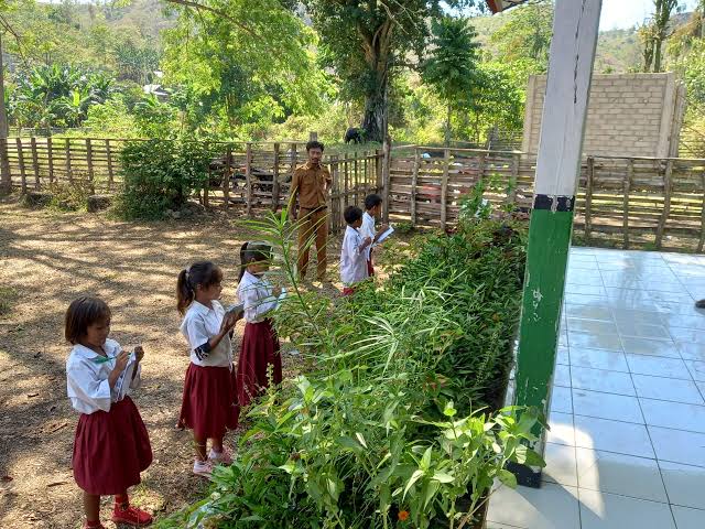 Fenomena sekolah dasar (SD) dan sekolah menengah pertama (SMP) tanpa murid baru kembali terjadi di tahun ajaran 2025/2026. Puluhan sekolah di berbagai provinsi, baik di wilayah perkotaan maupun pedesaan, tercatat tidak menerima pendaftar sama sekali. Kondisi ini menimbulkan kekhawatiran serius terhadap masa depan pendidikan dasar di Indonesia.
