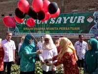 Dharma Wanita Persatuan (DWP) Kabupaten Pangkajene dan Kepulauan resmi meluncurkan program Darlina (Dharma Wanita Lokus Intervensi Anak).
