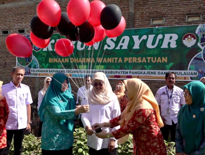 Dharma Wanita Persatuan (DWP) Kabupaten Pangkajene dan Kepulauan resmi meluncurkan program Darlina (Dharma Wanita Lokus Intervensi Anak).
