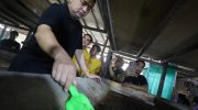 Wali Kota Makassar, Munafri Arifuddin, kembali menegaskan pentingnya peran RT/RW dalam menciptakan lingkungan kota yang bersih, sehat, dan berkelanjutan.