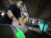 Wali Kota Makassar, Munafri Arifuddin, kembali menegaskan pentingnya peran RT/RW dalam menciptakan lingkungan kota yang bersih, sehat, dan berkelanjutan.