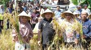 Wali Kota Makassar, Munafri Arifuddin, kembali menyerukan pentingnya pemanfaatan lahan sempit di perkotaan sebagai lahan pertanian.