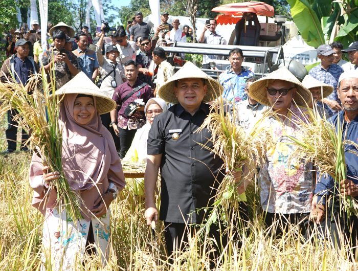 Wali Kota Makassar, Munafri Arifuddin, kembali menyerukan pentingnya pemanfaatan lahan sempit di perkotaan sebagai lahan pertanian.
