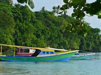 Things to do Sulawesi copy 640x348